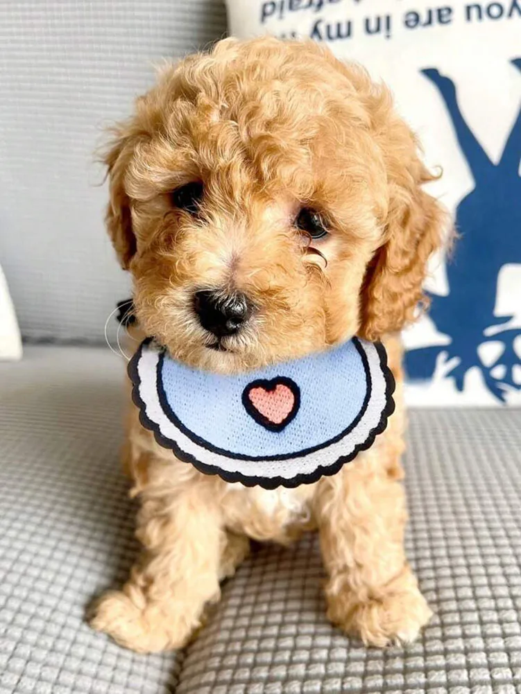 Title 7, Pet Bib Cat Dog Cute Adjustable Saliva Towel Do...
