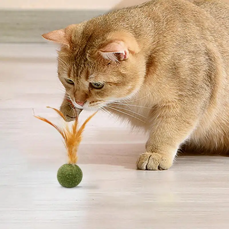 XPUING Palline Di Erba Gatta, Palla Giocattolo All'erba Gatta, 4 In 1 Giochi Al Catnip,Caramelle Sano Nutrizione Snack,Giocattolo Da Masticare Per Gatti,Staccabile (Grigio - 9