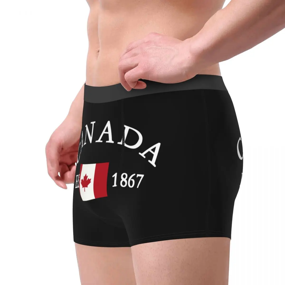 Custom Flag Of Canada Underwear Men Breathbale Patriotism Boxer Briefs Shorts Panties Soft Underpants For Homme 3