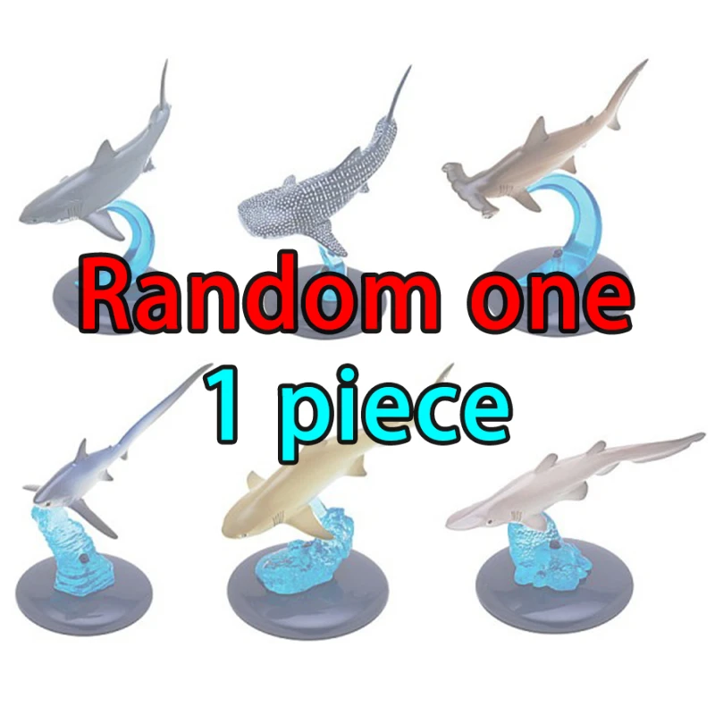 TOGINON NEO+ 5.8inch Marin Shark 7inch