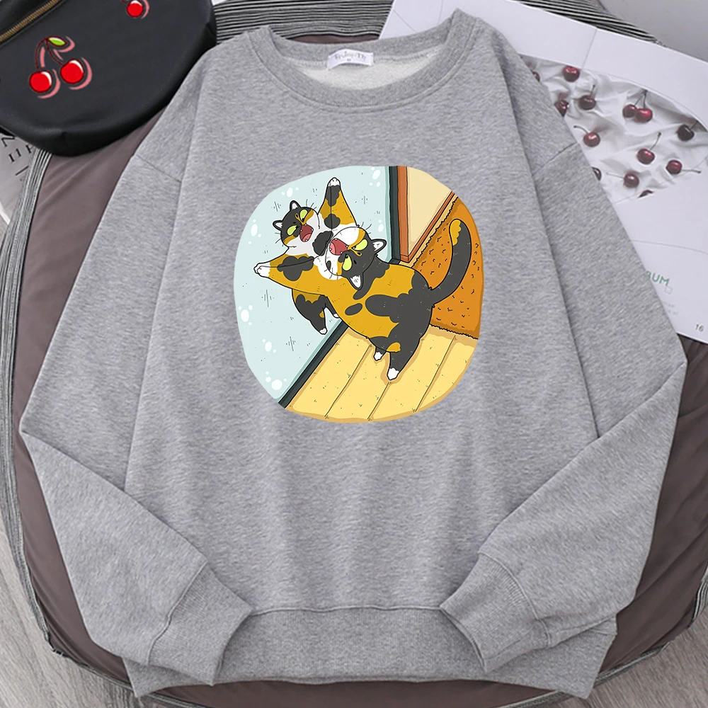 

The Angry Cat Looked At Himself In The Mirror Printed Man Long Sleeves Autumn Fleece Casual Sweatshirt Fashion Warm Mens Hoodies