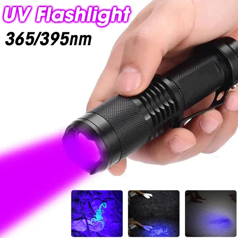 

Ultra Violet LED Flashlight 395/365NM Waterproof Portable Ultraviolet Torch with Zoom Focus UV Lamp Pet Urine Stains Detector