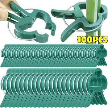 Plant Fixed Support Clips Garden Greenhouse Holders Reusable Plants Climbing Clamps for Flower Vines Tomato Vegetables Fastener