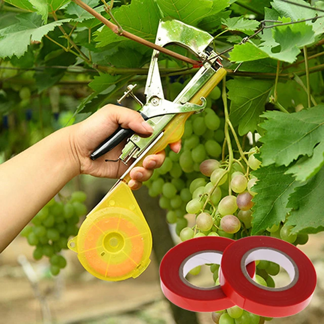 10 Pcs Tapetool Szalagok Pvc Plant Tie Tapetools Ág Szalagos Kerti Szerszámok Csokros Gép Szőlőfájdalom Gépi Szalag Kötőszalag - Image 6