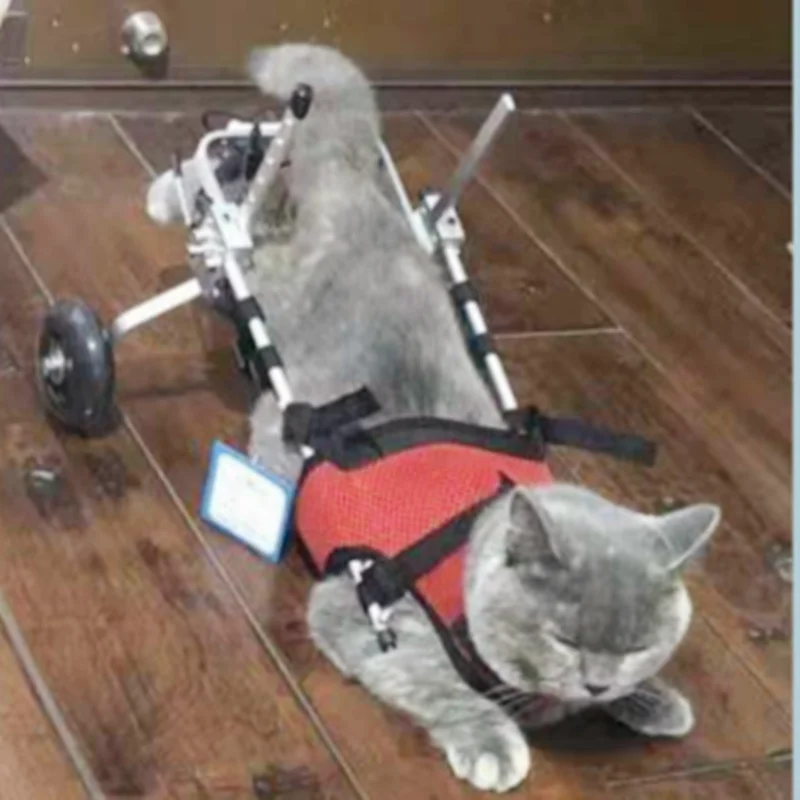 Cat Wheelchair Car Paralyzed Fracture Pet Hind Leg Spine Injury Rehabilitation Training Car Hind Limb Disability Stroller cat wheelchair