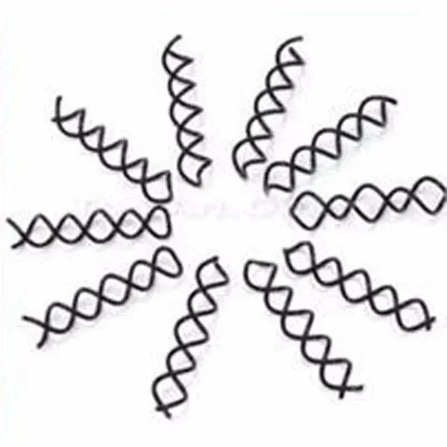 10pcs/Set Simple Hair Clips Fixed Curlers Women's Twisted Headwear Hairstyle Tools Bride's Personalized Styling Accessory 3