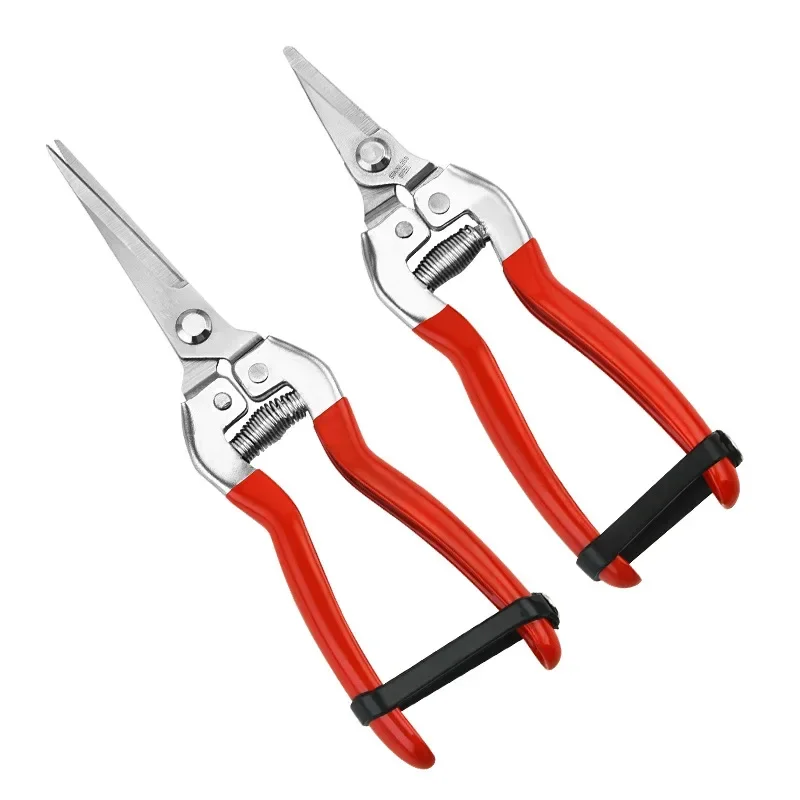 가정용 스테인리스 스틸 가지 치기 가위, 과일 따기, 포도 가위, 정원 가지 치기 도구