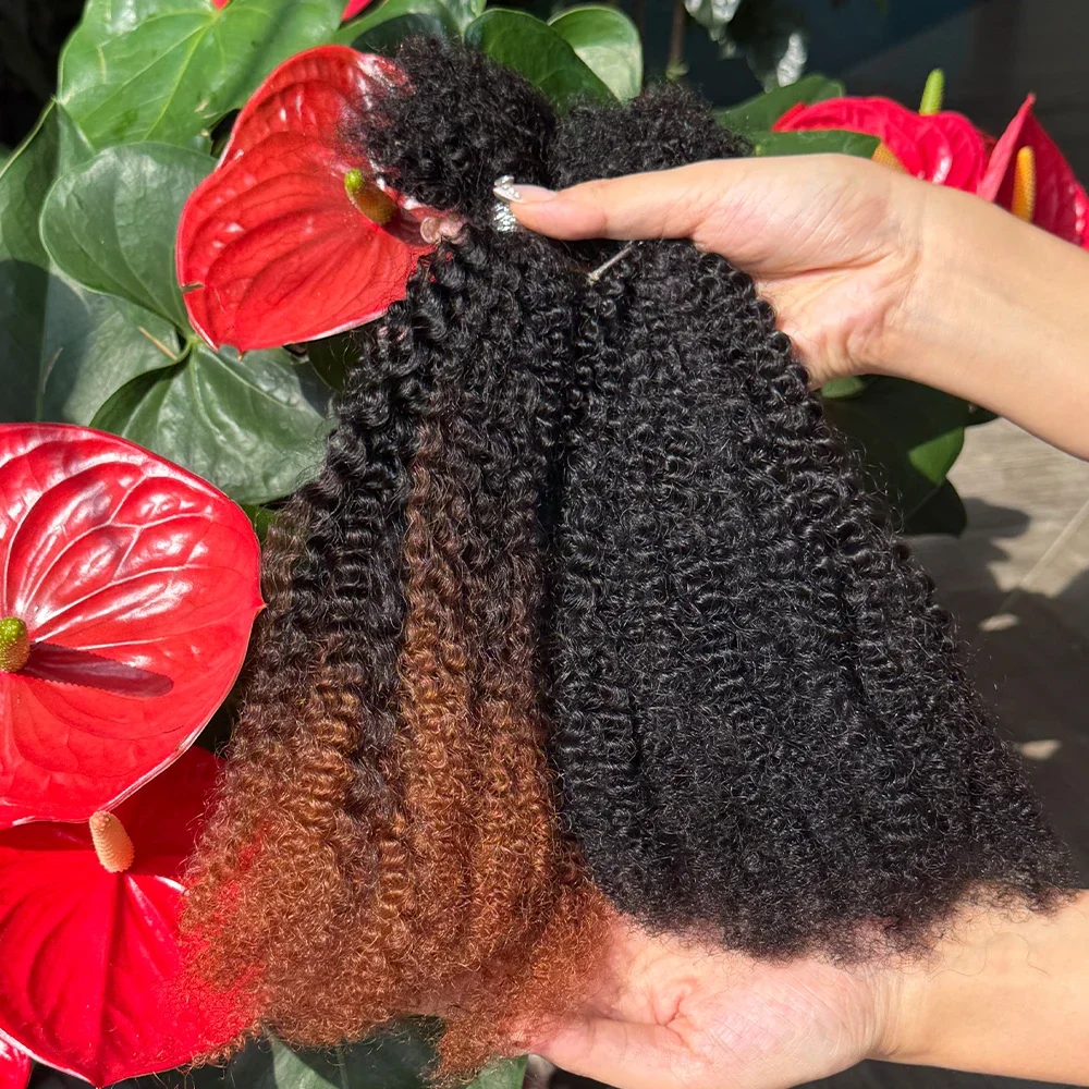 4C Afro Kinky Curly Bulk Hair 16 Inch 100% Human Hair Raw Virgin Unprocessed No Weft Braid Extension Natural Bulk Hair For Dread 2