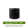 30 Gallon
