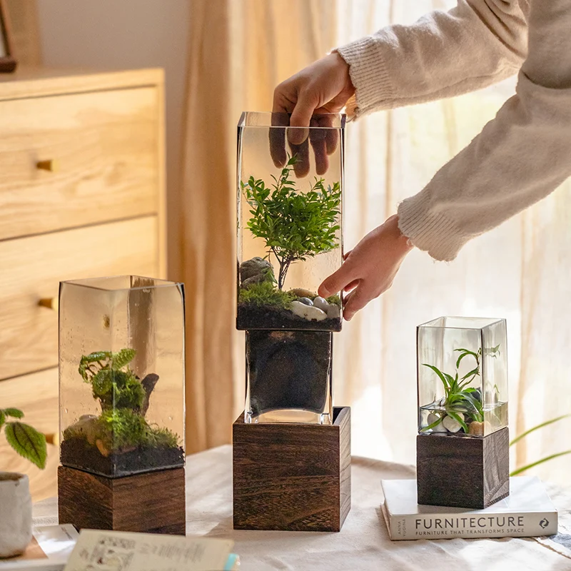 

Wooden Base Vase Glass Vase for Hydroponic Flowers Artificial Dried Flowers Living Room Office Desk Decoration Flower Vase