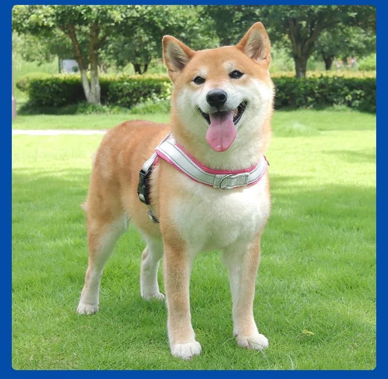 Dog Harness No Pull Reflective Vest For Small And Medium Dogs_voghion.com