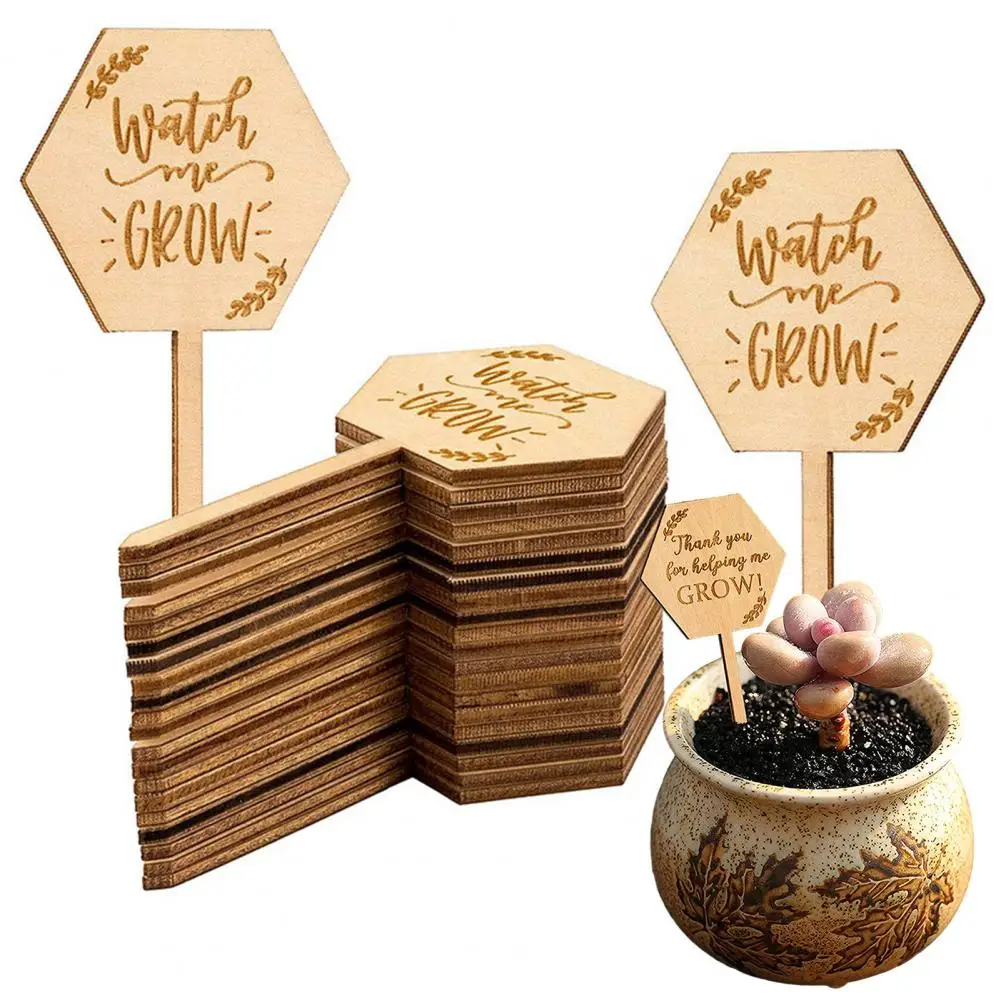 

Plant Inserts Durable Wooden Plant Markers Garden Decoration for Identification House Decor 10pcs Plant Labels with Chalkboard