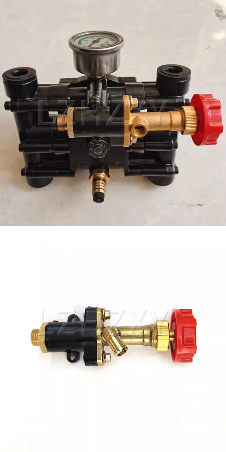Twin-Cylinder Plunger Pump Head Assembly; Column-Type Pump Head; Pump Head for S