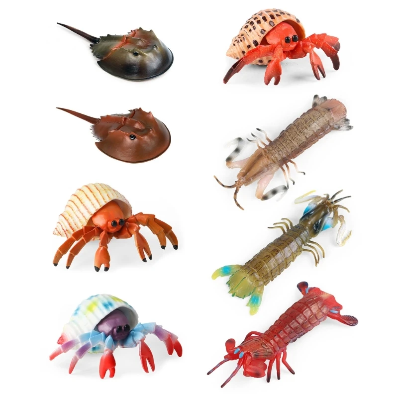 Simulation Animal Figurine Model Toy Observation Display Child Educational Toy