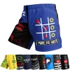 Factory Bulk Price Customized Martial Arts Wear Quick Dry Short Grappling Men Women Children BJJ Fight MMA Shorts With Rubber 4