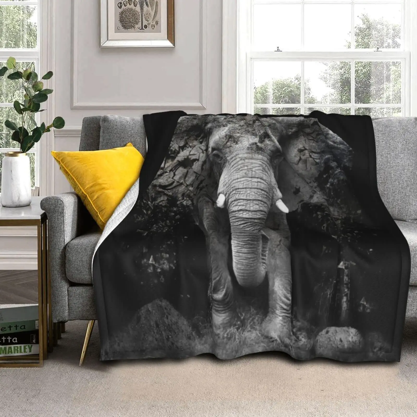 �Ϳ��� ���� ����Ʈ �ڳ��� ����Ʈ ����Ŷ, ��ä�ο� ����, �޲ٴ� ��ǰ ����, �ƴ��ϰ� ������ �ö��� ���, Ȩ ����