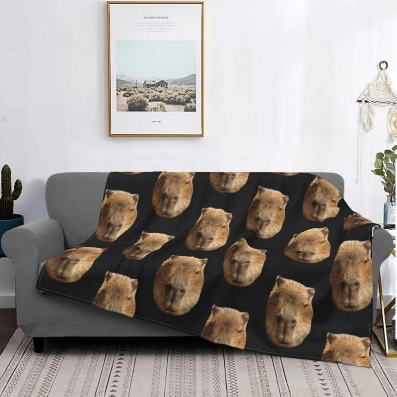 Capybara-�ܿ�� �β��� ���� �ö��� ���, ħ�� ���� ķ�� �繫�� �� ���