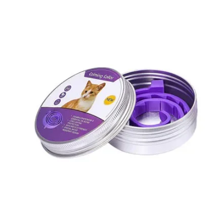 Cat 38cm Box-Purple