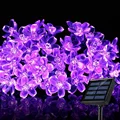 Purple light