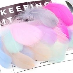 100 Pcs Natural Goose Feathers Plumes 4-8cm 8-12cm Colourful Swan Feather Plume for Home Decoration Craft DIY Jewelry Decoration