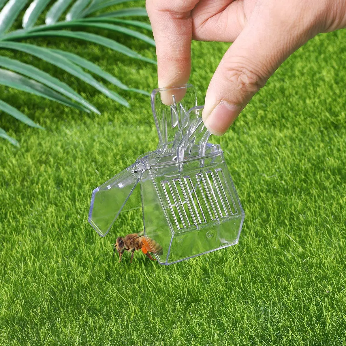 Beekeeping Tools Beekeeping Accessories Bee Cage Bee Queen Catcher Colorless Plastic Queen Cage Clip Isolation Room Beekeeper Equipment