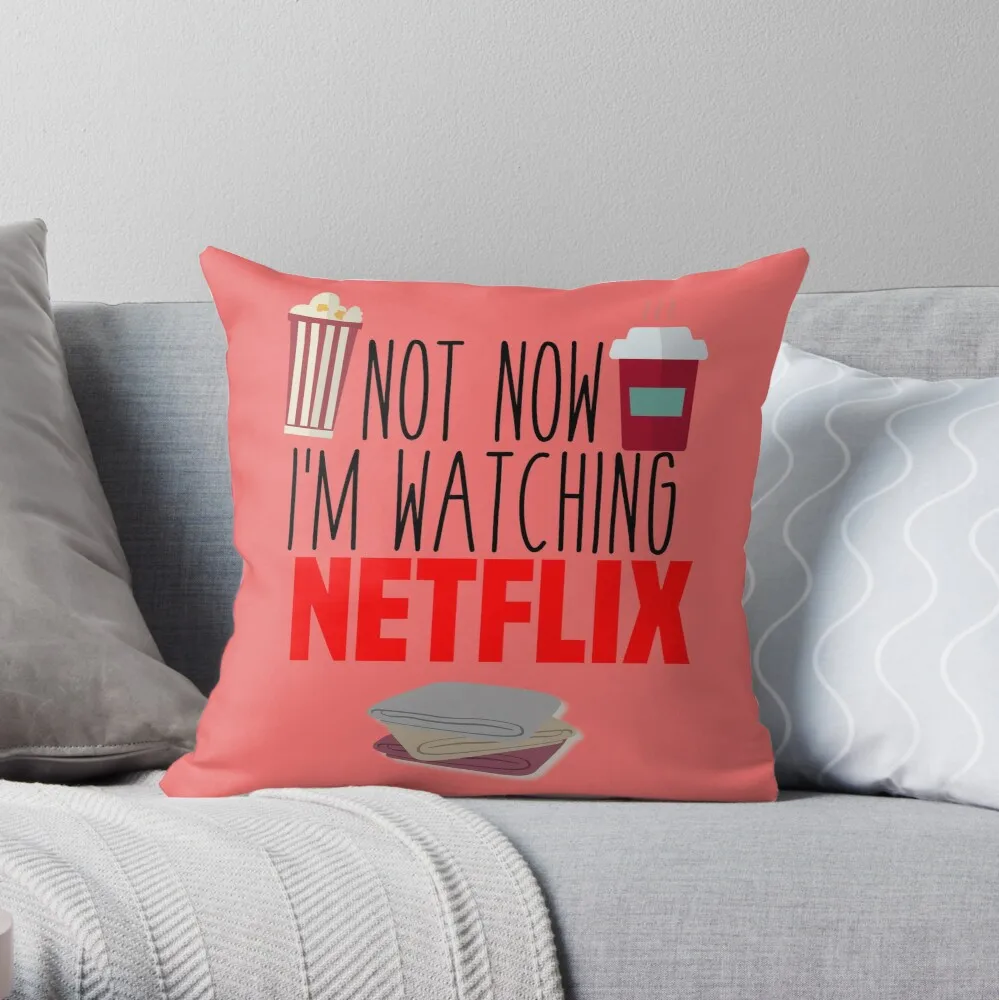

Netflix Throw Pillow cushion cover for sofa sofa cushions cover