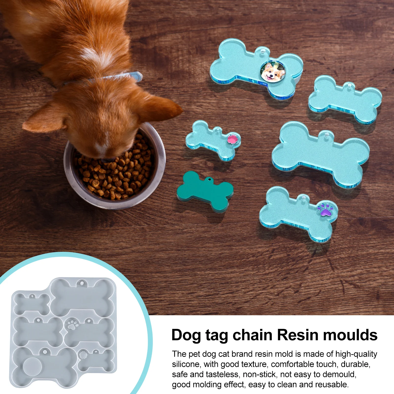 Can Mold Effect Dogs