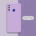 Grass Purple