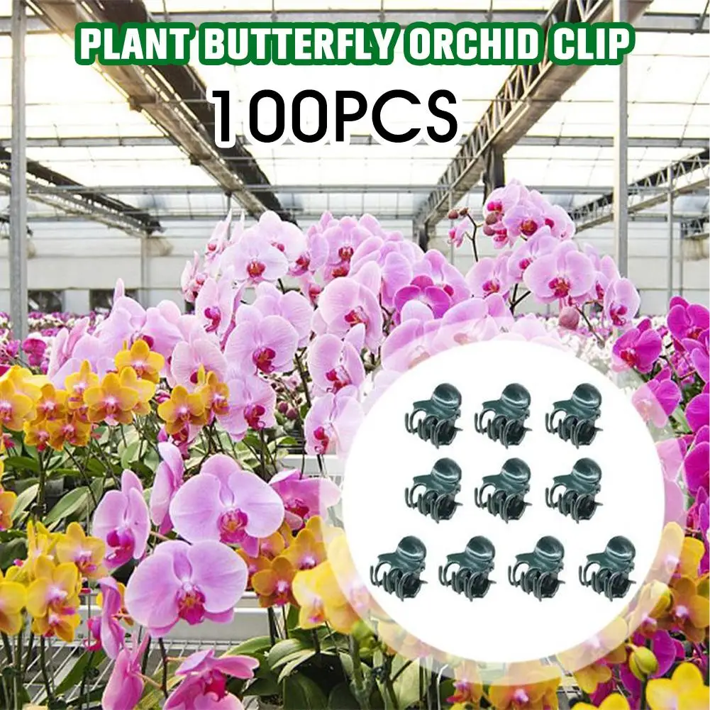 Plant Climbing Wall Butterfly Clips Vine Buckle Hook Garden Support Clamp Flower Plant Rattan Branch Grow