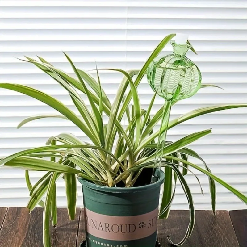 Self-Watering Glass Plant Globes - Durable Watering Devices for Indoor & Outdoor Plant Care