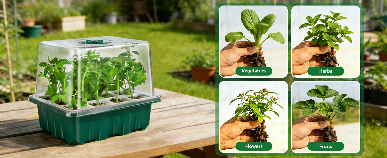 Plant Germination Trays