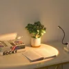 USB Sunset Sunset Ambiance Light Self Photography Light LED Rainbow Neon Night Light Projector Photography Wall Atmosphere Light 4