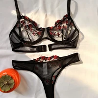 Ensemble de sous-vêtements Sexy pour femmes, soutien-gorge émotionnel exotique, imprimé brodé, brassière, ensemble de Lingerie, Push Up, Bralette fine 3