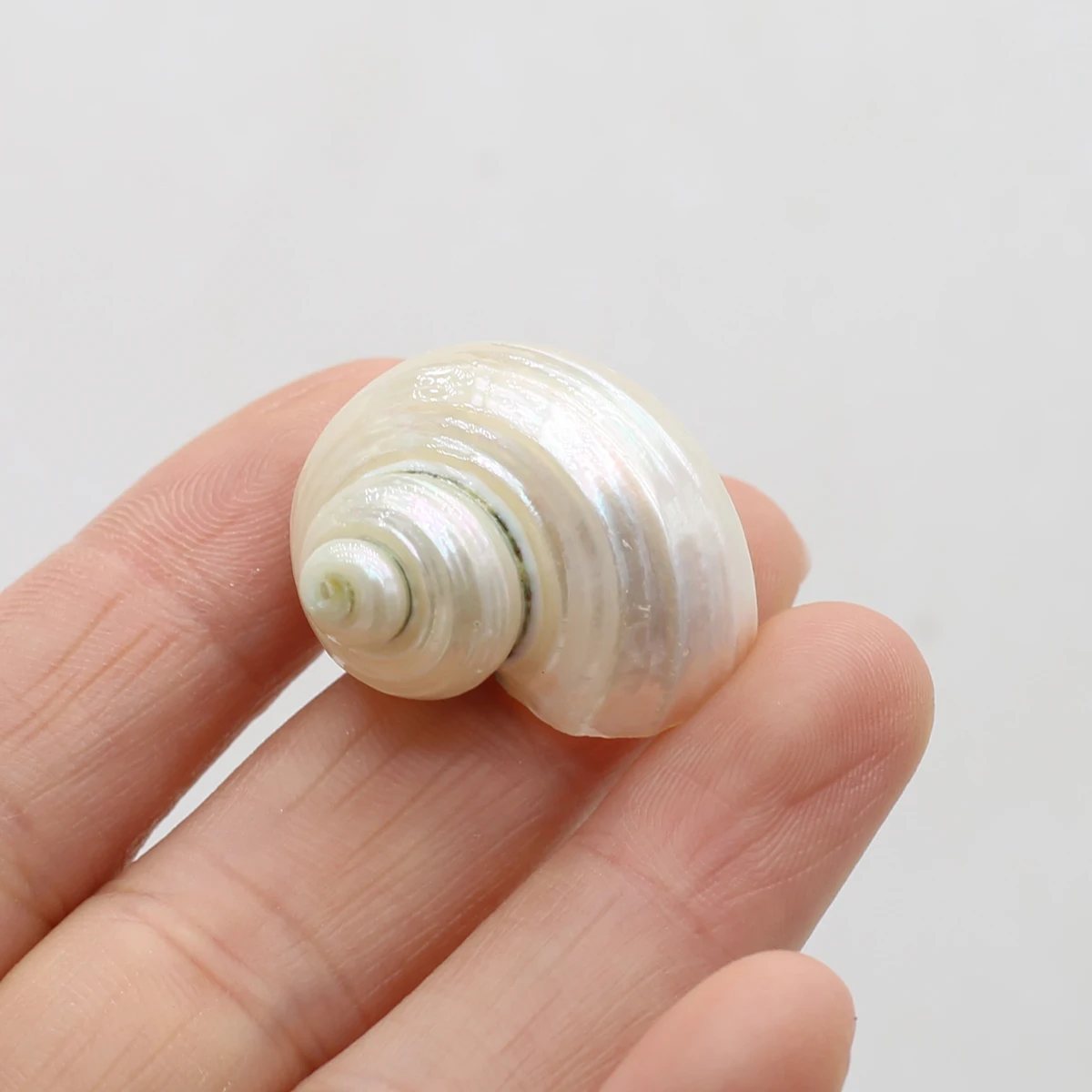 5-10pcs ڿ ȭƮ    ִ  DIY  м  ڵ ü  ׼