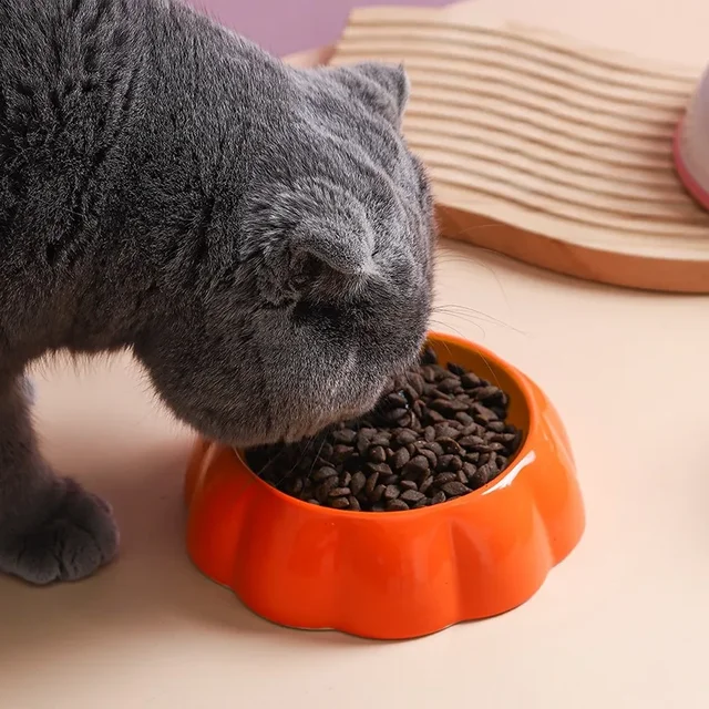 4 cute designs pet ceramics bowl watermelon strawberry shape cat food bowl small dog colorful water suppliers cat bowl 4