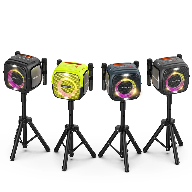 

Karaoke speakers professional with 2 microphone