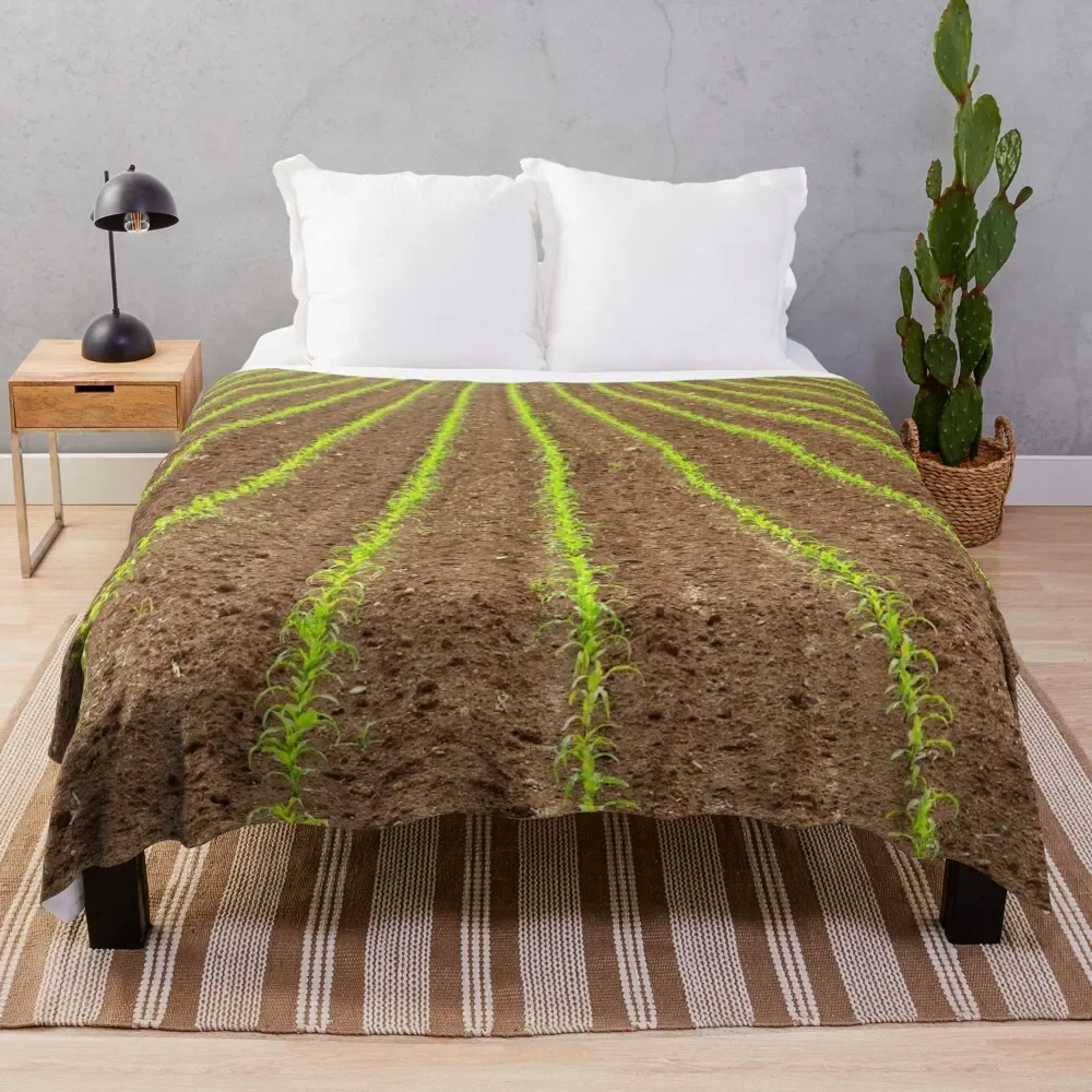 

Corn field Throw Blanket funny gift Decorative Sofas Shaggy Soft Plaid Blankets