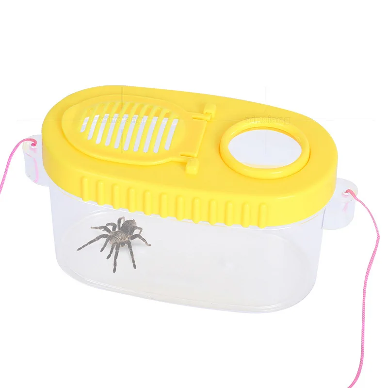 

Table Children Magnifier 5X Insect Observation Desktop Magnifying Glass For Kids Students Education Toy Gift Animal Plant Loupe