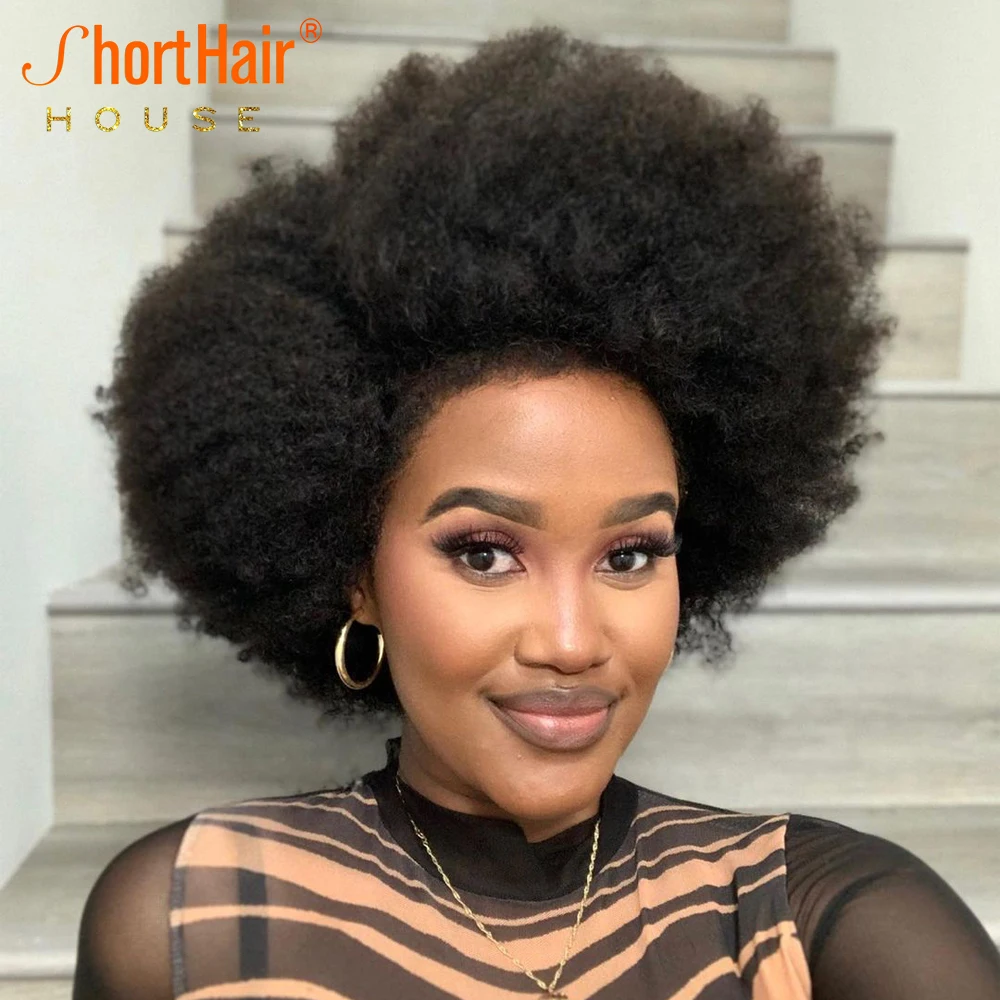 Kinky Edges Lace Front Human Hair Wigs Ventilated Afro Kinky