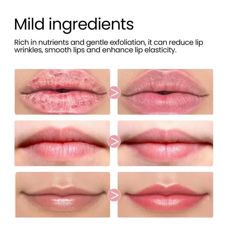 Natural Plant Lip Balm Moisturizing Lip Mask Lipsticks Base Anti-Cracking Oil Korean Cosmetics