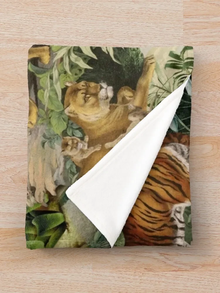 �ε巯�� ���� ���� ���, �� ������ ���, �ִϸ��̼� ķ�� ���� ��� ���