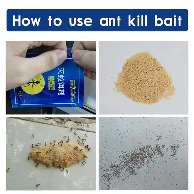 Db Ant Baits Medikai Medika Bitle Megjegyzés Rovar Elutasító Kontroll Gyilkos Fekete Hangyák Számára - Image 2