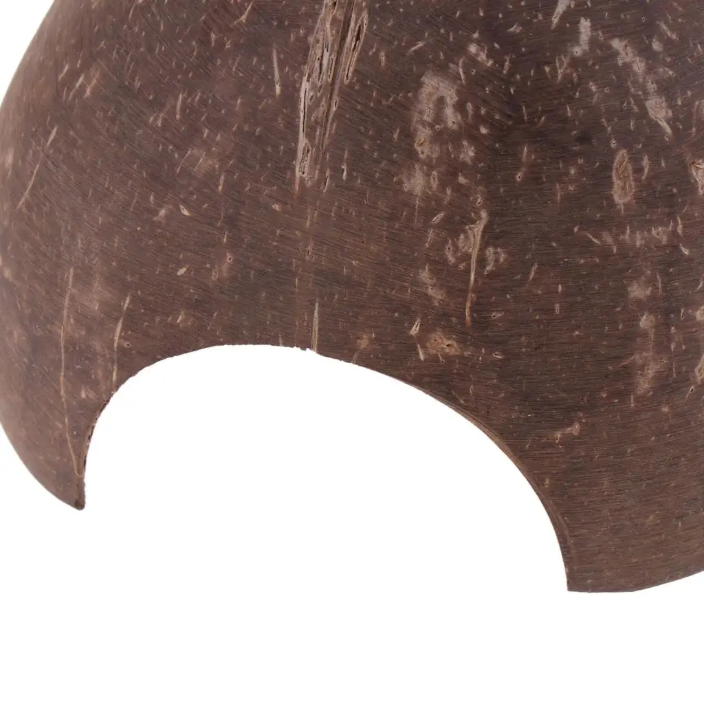 Natural Hut-Non-, Coconut Reptile Hideouts, , Aquarium Fish