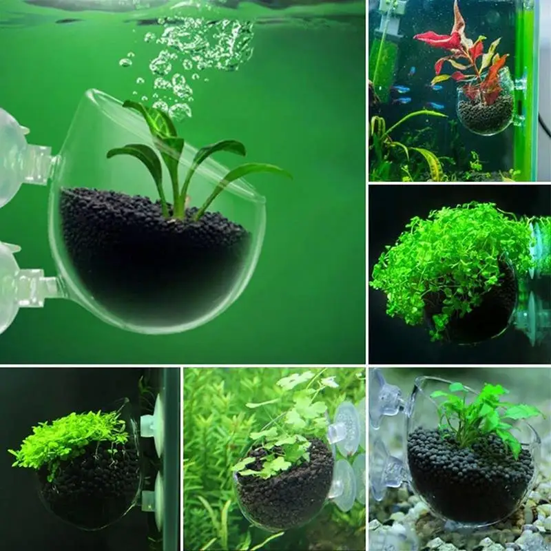 Aquarium Plant Pot Glass Cylinder Cup With Suckers Aquatic Plant Cup Decorative Supplies For Cultivate Aquatic Seeds fish tank ornaments fish tank decorations aquarium ornaments