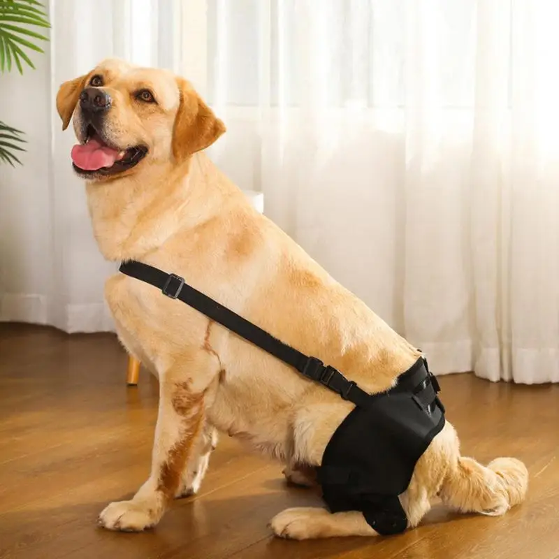 Dog Leg Support Brace Pet Knee Pad Back Leg Support Knee Protector Hip Joint Support Bandage Wrap Protect Wounds Dog Accessories