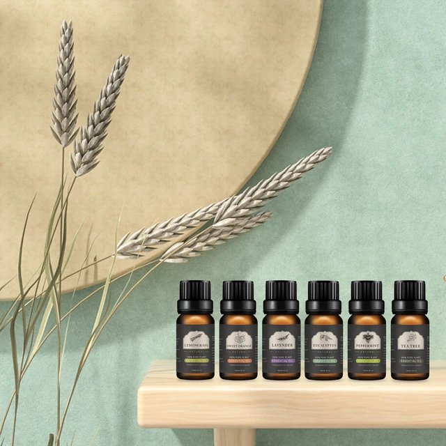 6 Pack Essential Aromatherapy Oils Gift Set 10ML Eucalyptus Lavender, Lemon  grass Orange Peppermint Sandalwood - AliExpress