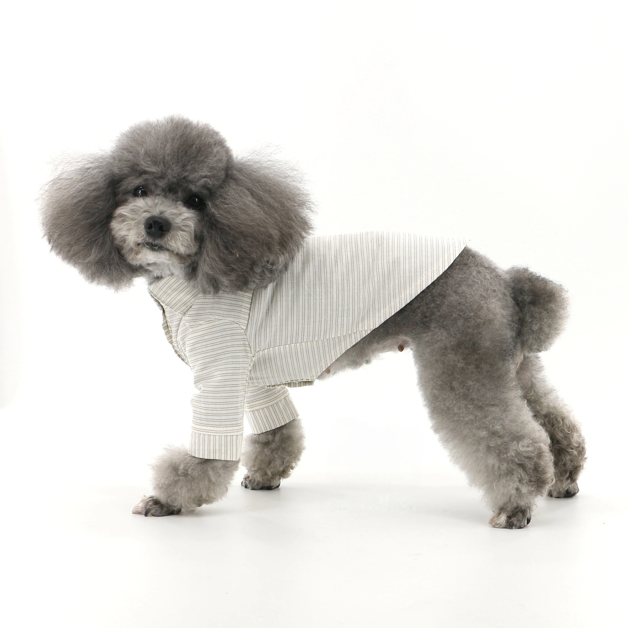 애완견 턱시도 정장, 조절 가능한 나비넥타이, 공식 애완동물 의상, 강아지 왕자 파티 웨딩 의상, 강아지 옷 세트