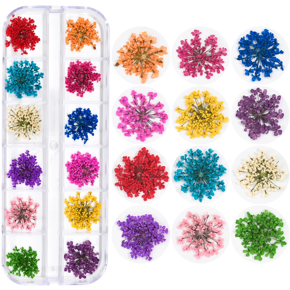 36 Stück Getrocknete Blumen Für Nail Art – Mit Pinzette, Für 3D-Nageldesign Mit Gel Oder Acryl