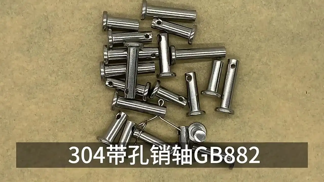 5x60mm Perni Perni,10pz 304 Acciaio Inox Acciaio Tondo
