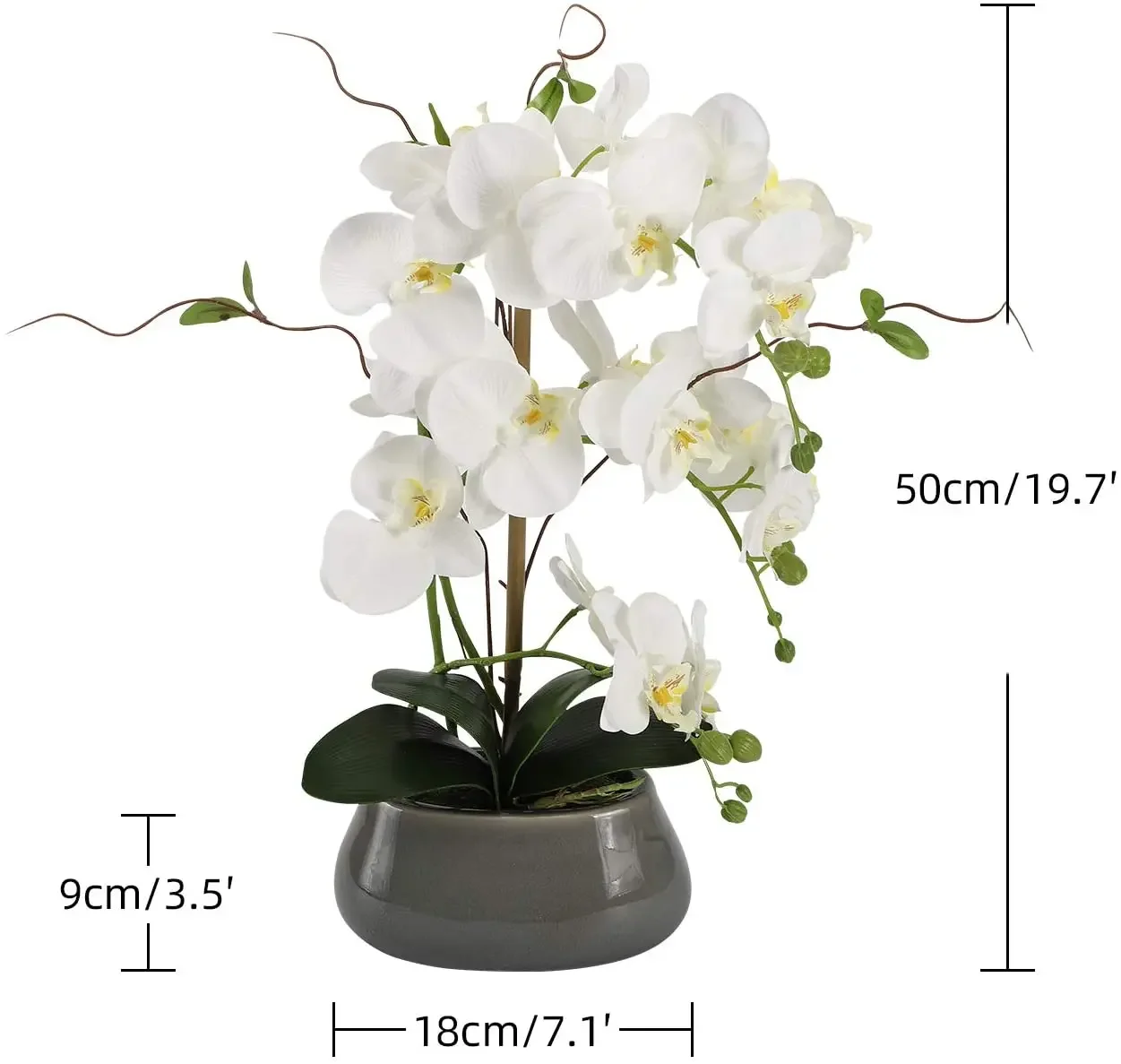 Orchidea Artificiale Phalaenopsis In Vaso Ceramica Bianca - Pianta Finta In Seta Per Decorazione Casa, Regalo (Altezza 47 Cm)